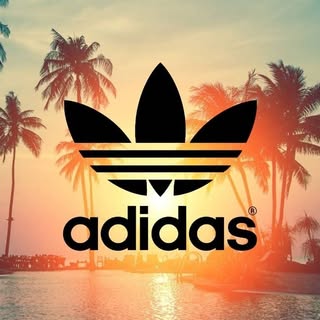 Profile Picture of 409851 (@thomas.quagliata) on Instagram