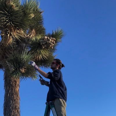 Profile Picture of Bryan MacNeill 🌿 (@BryTheBotanist) on Twitter