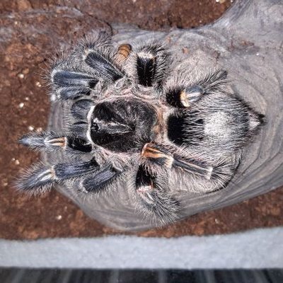 Profile Picture of DIRK HALL (@DIRKHALL9) on Twitter