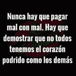 Profile Picture of David Ricardo Novelli (@davidricardonovelli) on Instagram