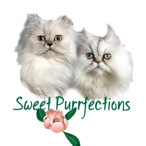 Profile Picture of Sweet Purrfections (@Truffle_Brulee) on Twitter