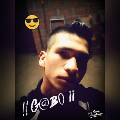 Profile Picture of Gabriel A Gamboa (@gabrielgamboa98) on Twitter