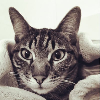 Profile Picture of Andy (@GajewskiAndrea) on Twitter