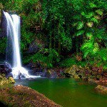 Profile Picture of tomas armenta 246 (@tomasarmenta246) on Instagram