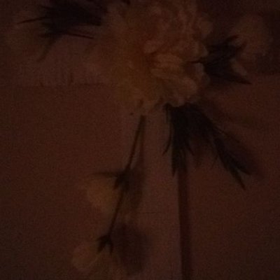 Profile Picture of Devonte Winston (@cheffen_shawn) on Twitter