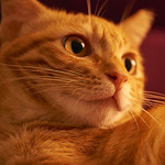 Profile Picture of Sheng yao Kuo (@Sheng yao Kuo) on Flickr