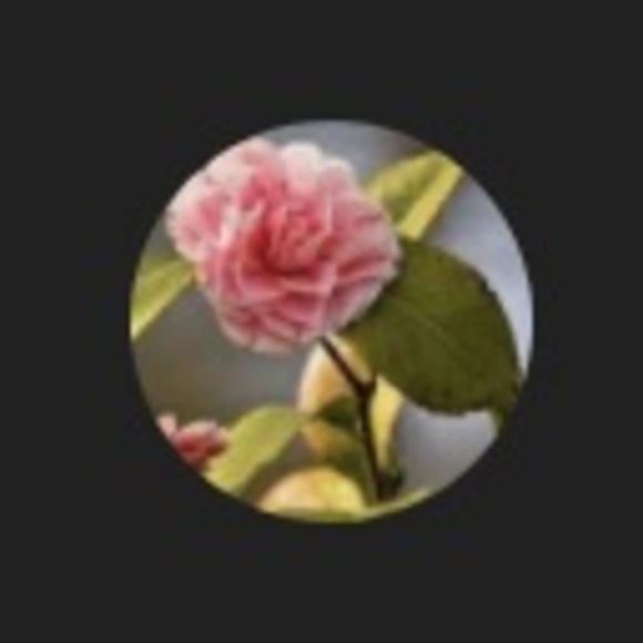 Profile Picture of Kimberlythe Molerat (@kimberlythem) on Poshmark