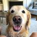 Profile Picture of Paul Irwin (@paul.irwin.5205) on Facebook