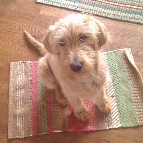 Profile Picture of Jessi Mitchell (@jessimitch24) on Poshmark