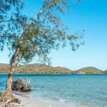 Profile Picture of Ilha do Japonês - Cabo Frio (@ilhadojapones_) on Instagram