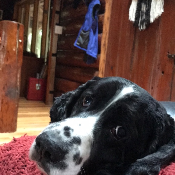 Profile Picture of Michelle Joseph (@ickymutly) on Poshmark