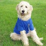 Profile Picture of Judy Robinson-Stoehr (@robinsonstoehr) on Instagram
