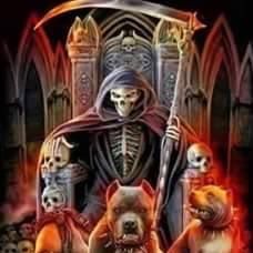 Profile Picture of Joe Chevrier (@Joe-Chevrier) on Facebook