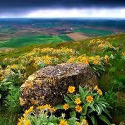 Profile Picture of Marshall Berg (@BergMarshall) on Twitter