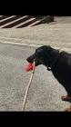 Profile Picture of   Morue La Boule... (@boulettezack) on Tiktok