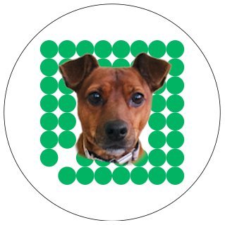 Profile Picture of AlphaPerry (@L22316131) on Twitter