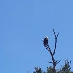 Profile Picture of Jerod Hockensmith (@jerodhockensmith) on Instagram