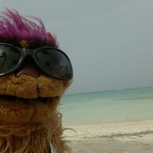 Profile Picture of Bailey (@alberta_from_canada) on Myspace