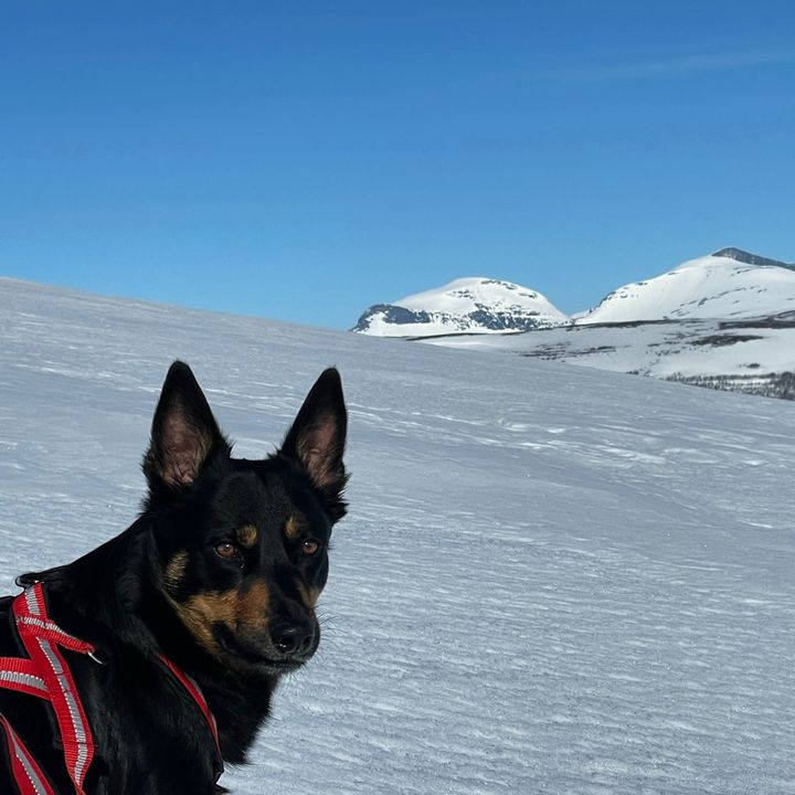 Irma - Tiktok Profile Picture of Irma (@irmaeriksson123) on Tiktok