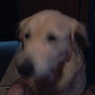 Profile Picture of Stephane Legault (@Stephane-Legault) on Facebook