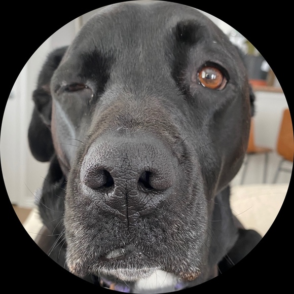 Profile Picture of Delancey Vogt (@delancey_15) on Poshmark