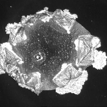 Profile Picture of Rainer Schulte (@Ra_Helix) on Twitter