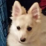 Profile Picture of Donna Festerling (@donnafesterling) on Instagram