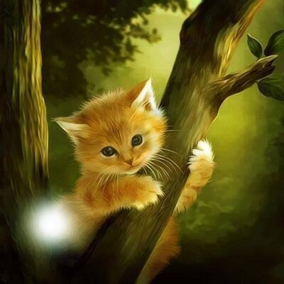 Profile Picture of Elif Alkış (@elifalk18) on Twitter