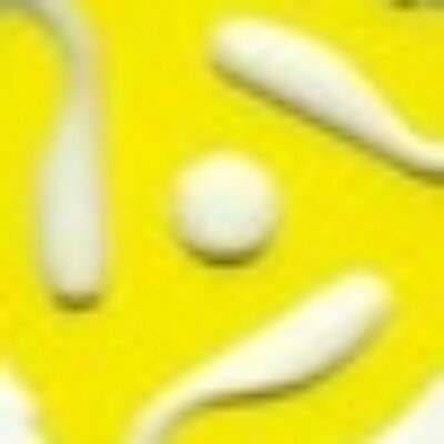 Profile Picture of Mike Gange/MrMedia (@mrmedia1) on Twitter