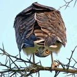 Profile Picture of Scott McEntire (@scottmcentire) on Instagram