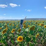 Profile Picture of Casey Huang (@casey_huang) on Instagram