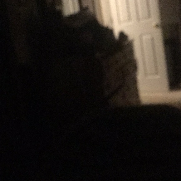 Profile Picture of Robin Chandler (@lenak29) on Poshmark