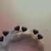 Profile Picture of Scott Hudspeth (@scott.hudspeth.161) on Facebook