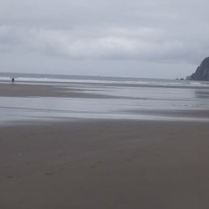 Profile Picture of Dennis DeVries (@DennisD25307632) on Twitter