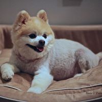 Profile Picture of Paula Dubin (@paula-dubin) on Quora