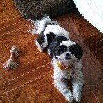 Profile Picture of Jane Bennett Fowler (@mjanefow) on Instagram