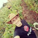 Profile Picture of Kocsis Róbert (@capito07) on Instagram