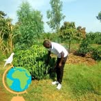 Profile Picture of Kennedy Arika (@Kennedy-Arika) on Facebook