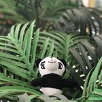 jimmy quan - Instagram Profile Picture of jimmy quan (@__jimmy_quan__) on Instagram