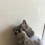 Profile Picture of Bill Gates💸 (@takostado.privv) on Instagram