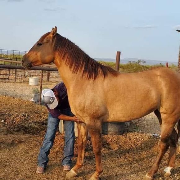 Profile Picture of Efrain Lopez (@cumminslife86) on Poshmark