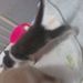 Profile Picture of Carlos Moraes (@emercm) on Pinterest