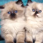 Profile Picture of Bill Leonardson (@bill.leonardson) on Facebook