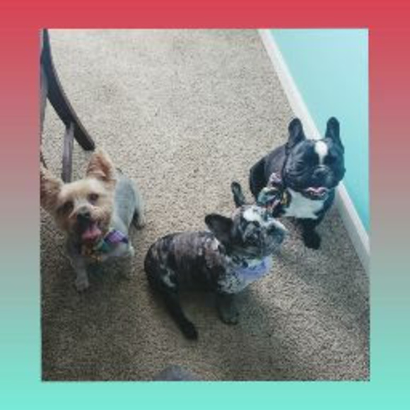 Profile Picture of Tia Allen-carmichael (@trcarmichael83) on Poshmark