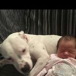 Profile Picture of Aaron Payne (@aaron.o.payne) on Instagram