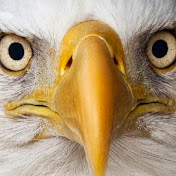 Profile Picture of Teresa Cloninger (@TeresaCloninger) on Youtube