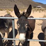 Mona Cauley - Instagram Profile Picture of Mona Cauley (@monacauley) on Instagram