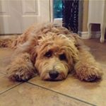 Profile Picture of Clare Knight (@clare.knight.39) on Instagram