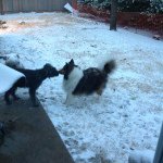 Matthew - Instagram Profile Picture of Matthew (@matthewharryman) on Instagram