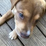 Profile Picture of John Theodore Coffey (@j.t.coffeyc) on Instagram